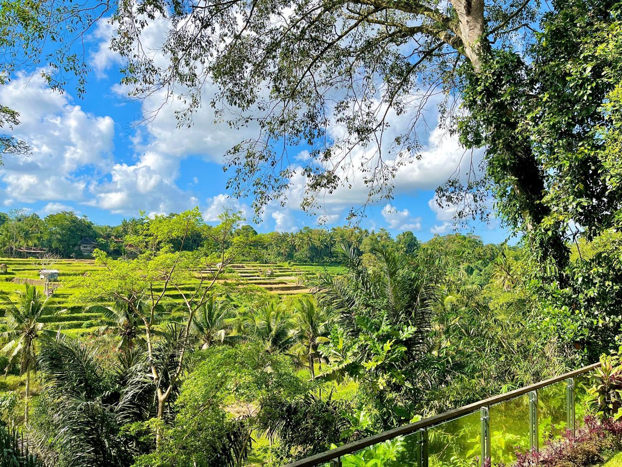 Permata Ayung Private Estate (Adults Only) Villa Ubud  Exterior photo